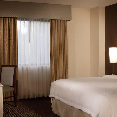 Embassy Suites By Hilton Las Vegas-3